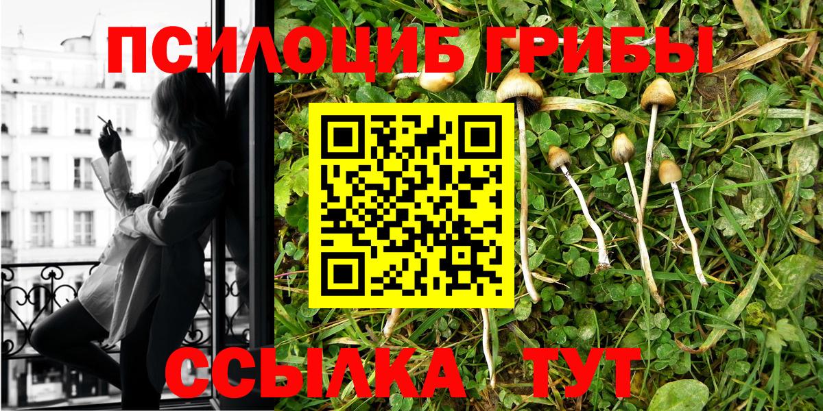 Псилоцибиновые грибы мицелий  Вход с VPN  Медногорск  Галлюциногенные грибы мухоморы 